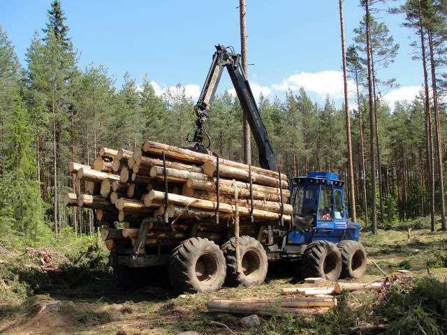 Slutavverkning