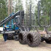 Rottne F9